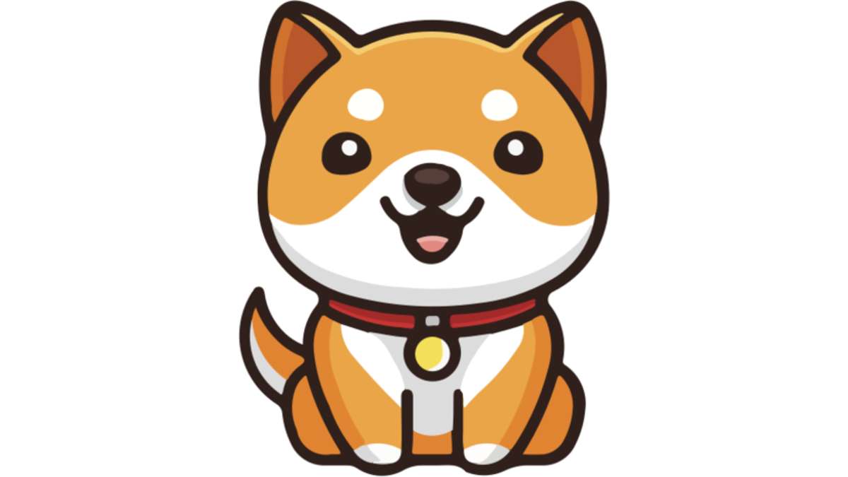 Baby Doge Coin kopen met iDEAL