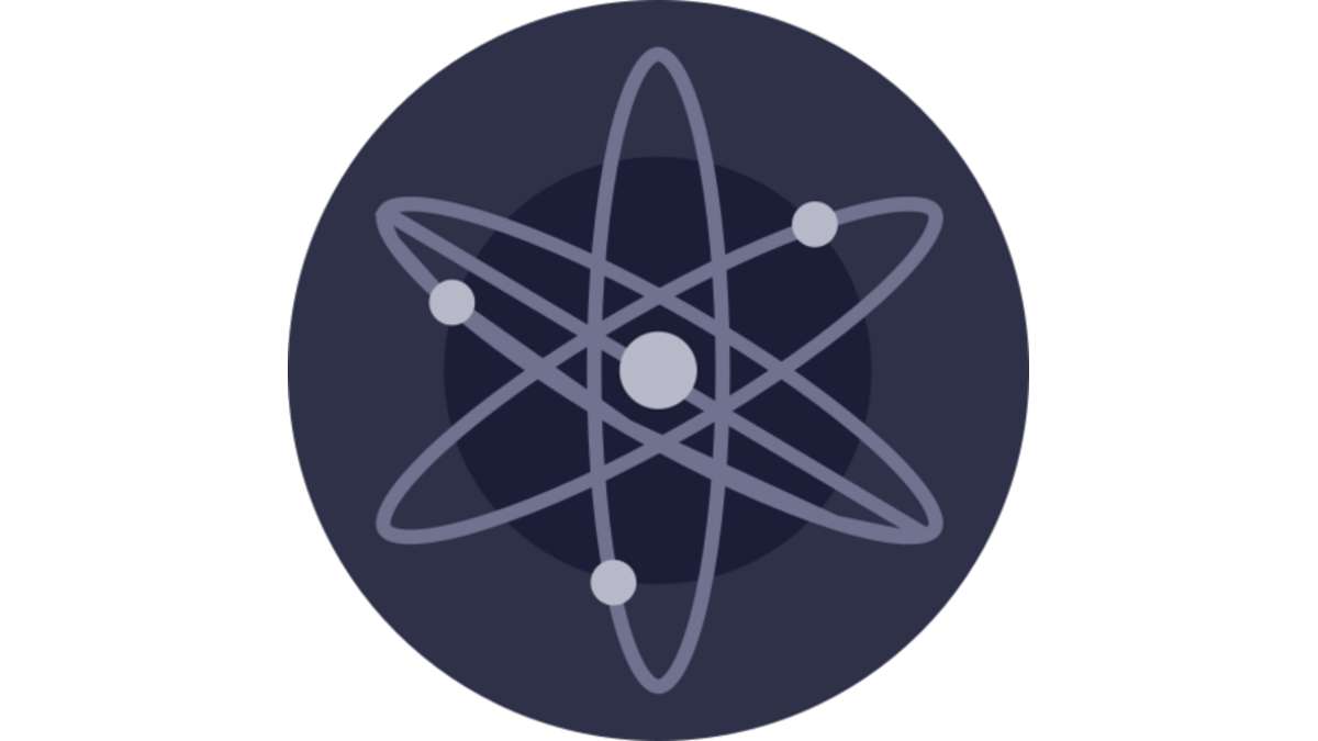 Cosmos kopen met iDEAL