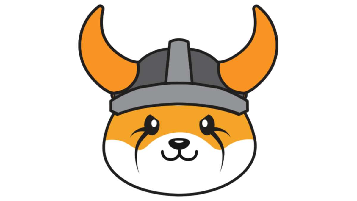 Floki Inu kopen met iDEAL