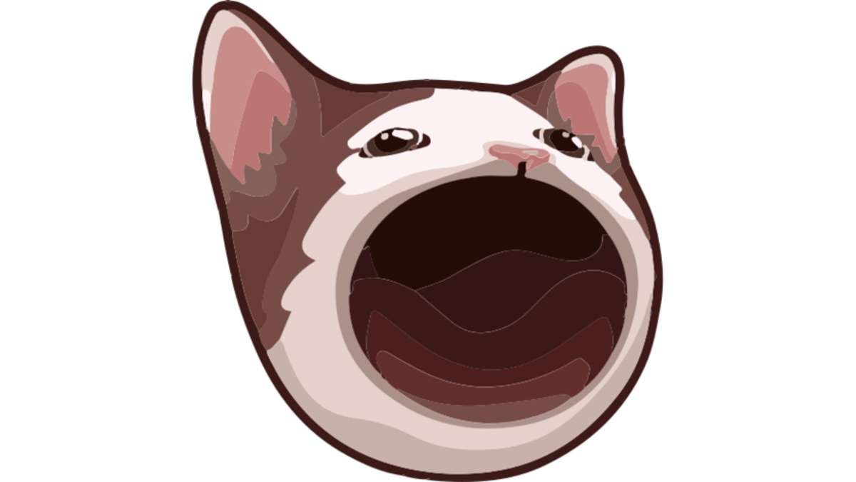 Popcat kopen met iDEAL